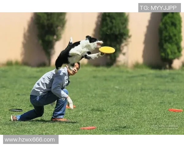 重庆飞盘队在极限运动世界杯上的拼搏历程与荣耀时刻分享